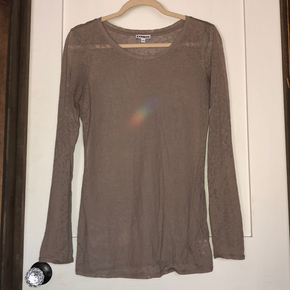 Express Sheer Top - Picture 1 of 4